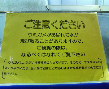 ���ߥ�������