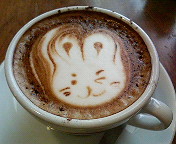 ���ץ�����