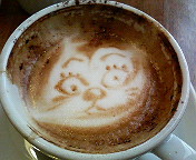 ���ץ����Ρ��ѿȸ��