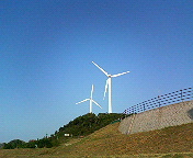 ����ȯ��